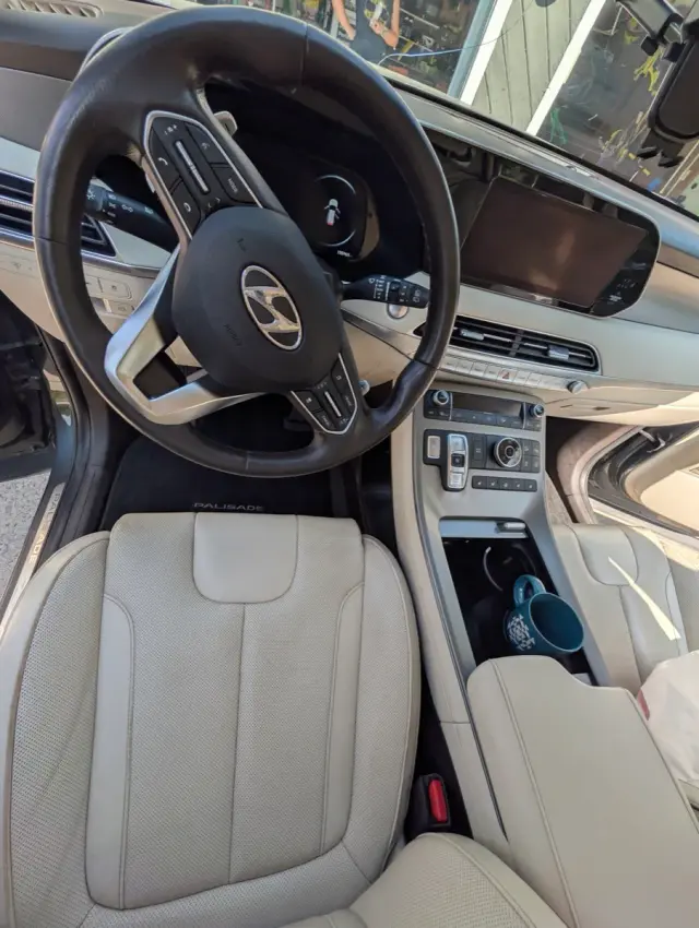 Hyundai Palisade after detailing